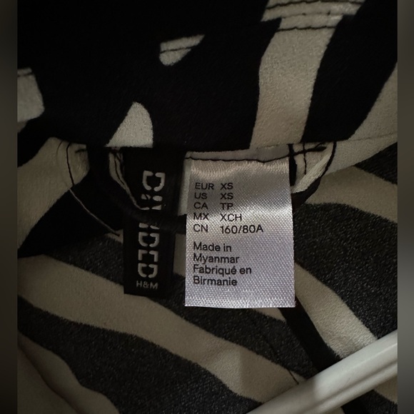 Zebra print button up blazer dress from H&M! - Picture 3 of 3